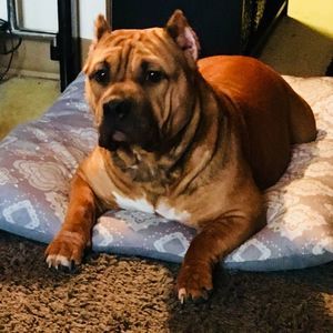 Meet your Posher, Greg